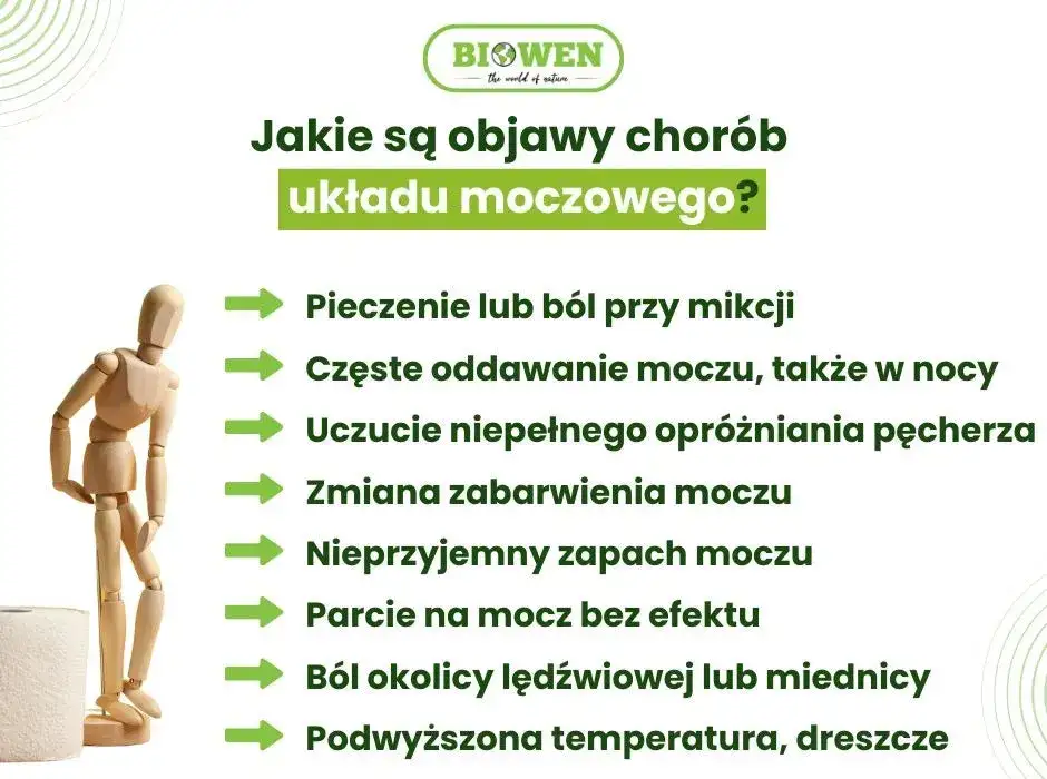 Objawy chorób układu moczowego