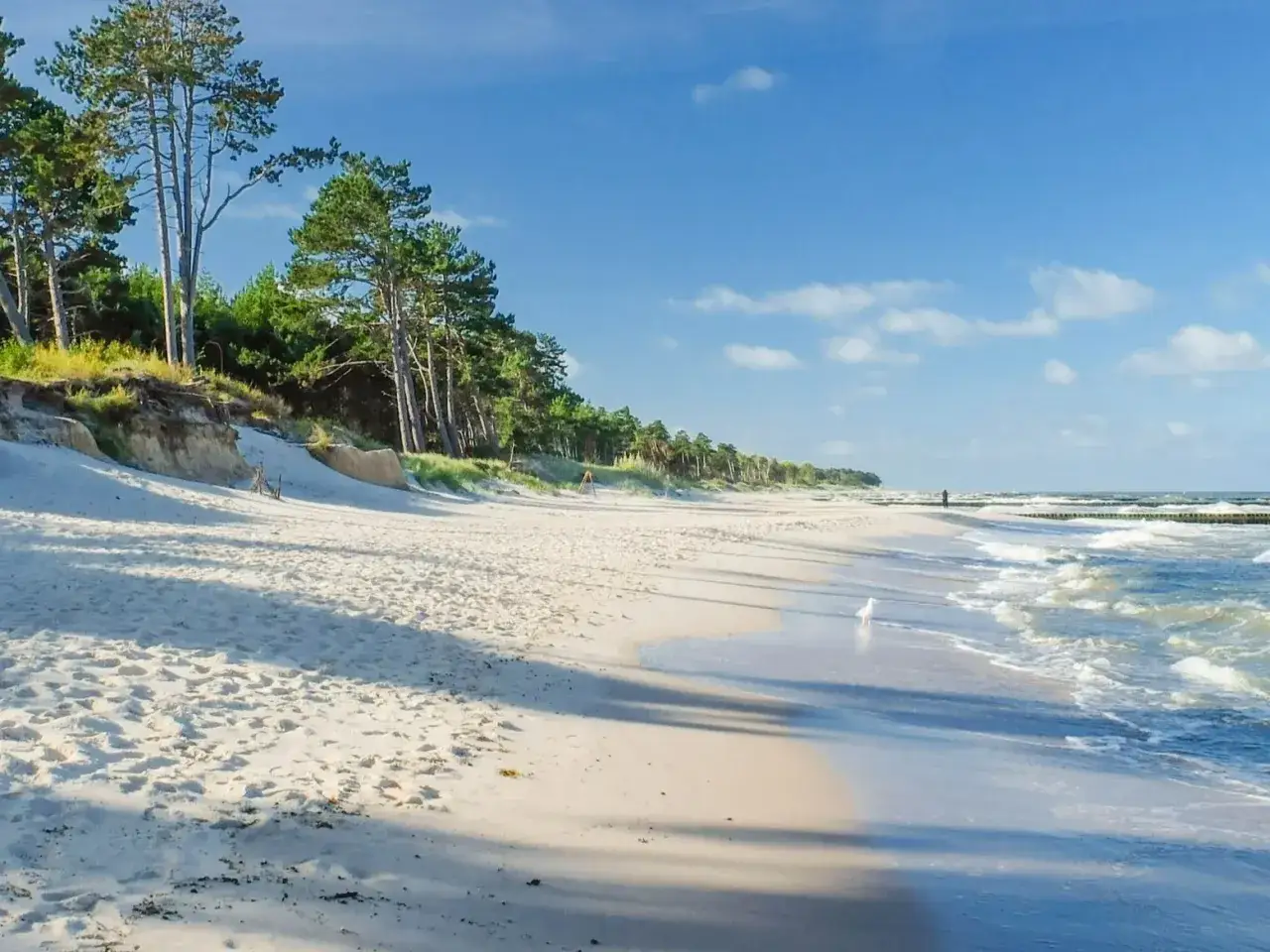 Piasek, sosny i morze &ndash; to musi być najpiękniejsza plaża w Polsce. Samotny spacer brzegiem Bałtyku.
