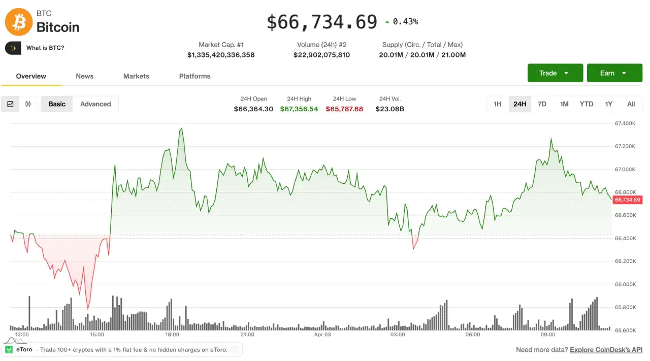 Grafico Bitcoin: il prezzo attuale è $66.734,69. Analisi dei criptovalute rischi e vantaggi con dati di mercato.