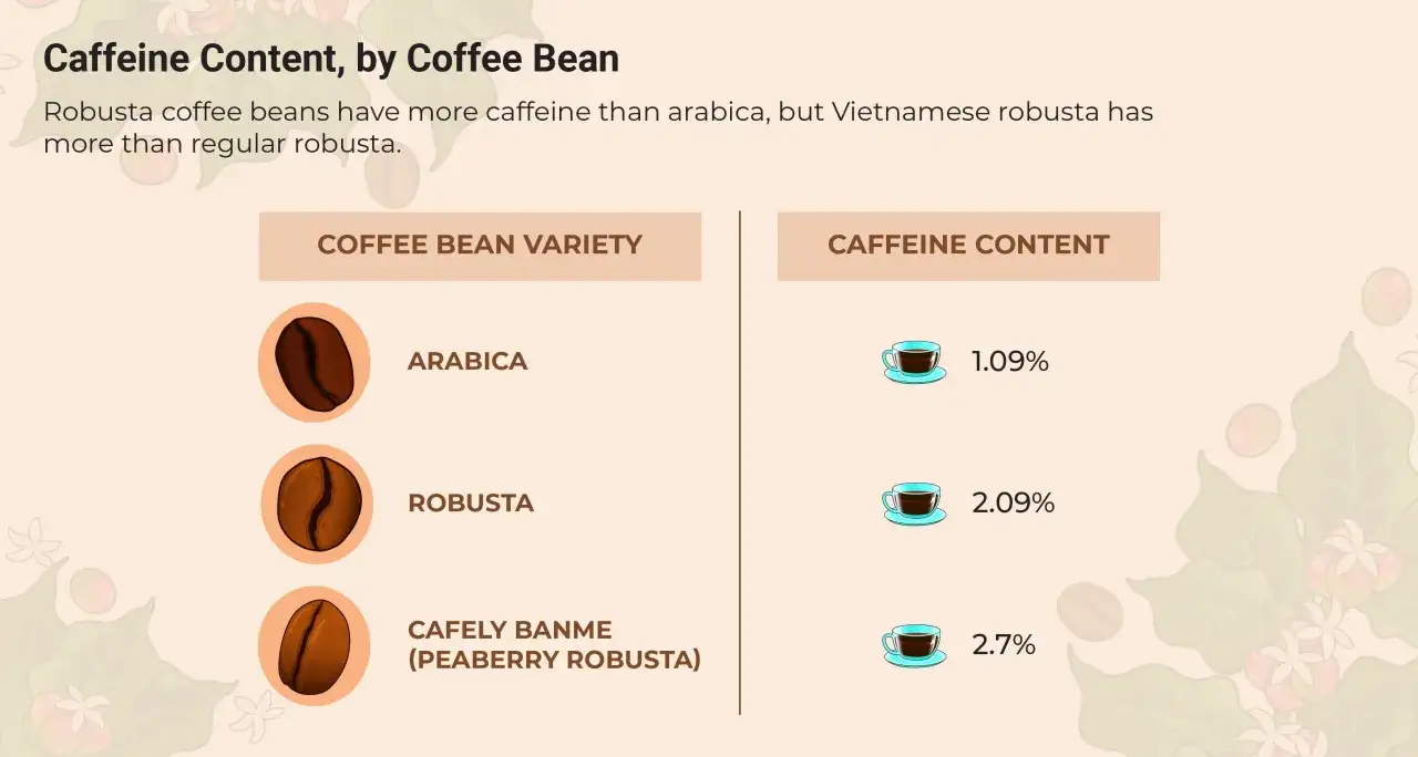 Kaffee-Sorten im Vergleich: Arabica (1,09% Koffein), Robusta (2,09% Koffein) und Cafely Banme (2,7% Koffein).