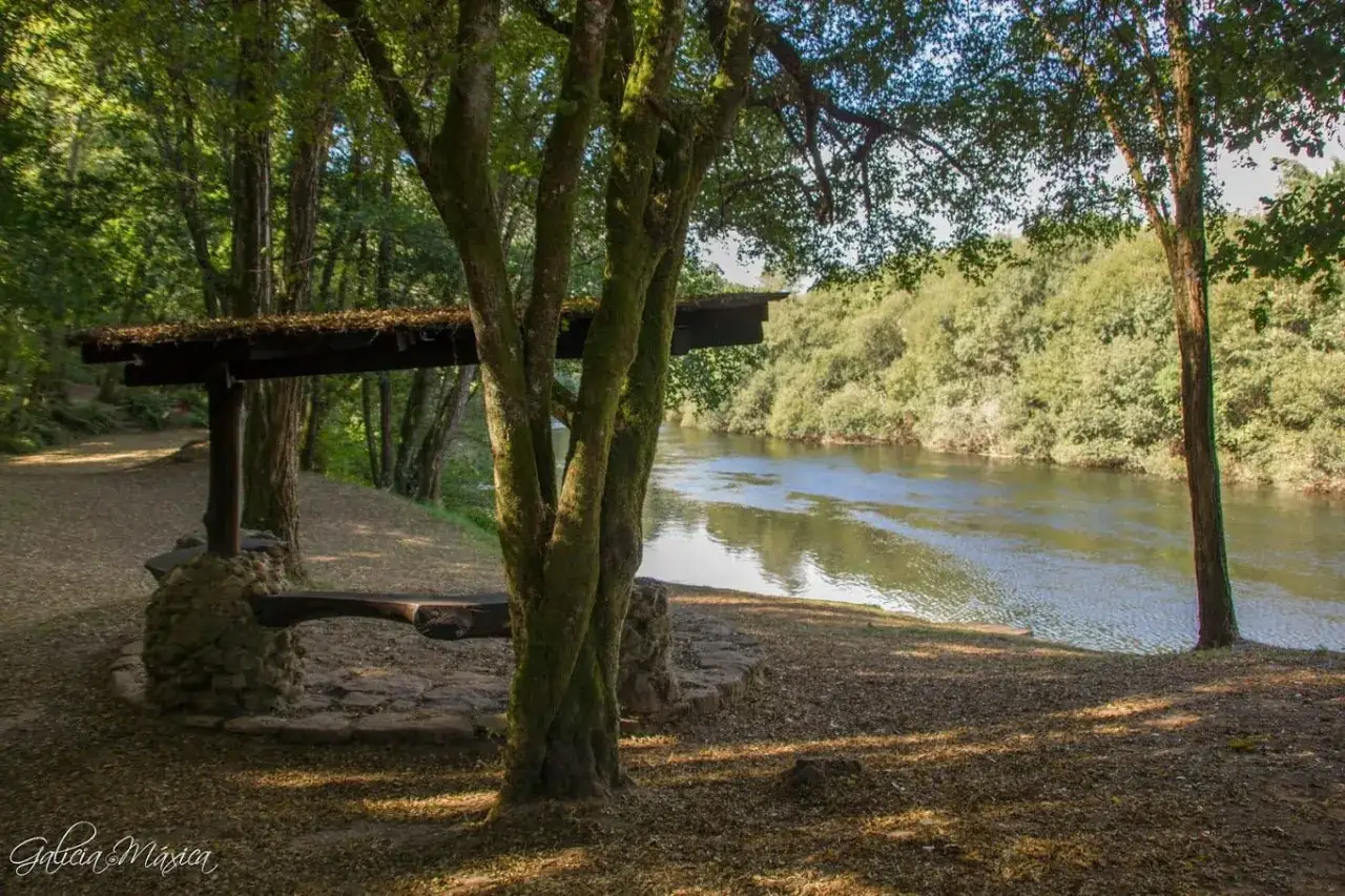 Un &aacute;rea de berres con un banco r&uacute;stico bajo un techo de madera, junto a un r&iacute;o sereno rodeado de &aacute;rboles frondosos.