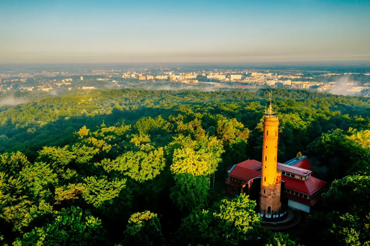 Góra Chełmska wieża widokowa panorama
