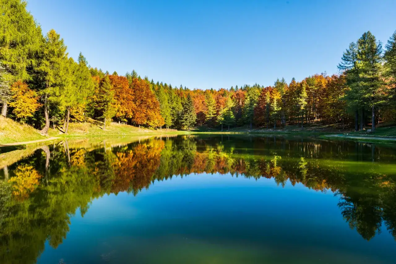Specchio d'acqua riflette alberi autunnali con colori vivaci, un paesaggio incantevole negli Appennini Emilia Romagna.