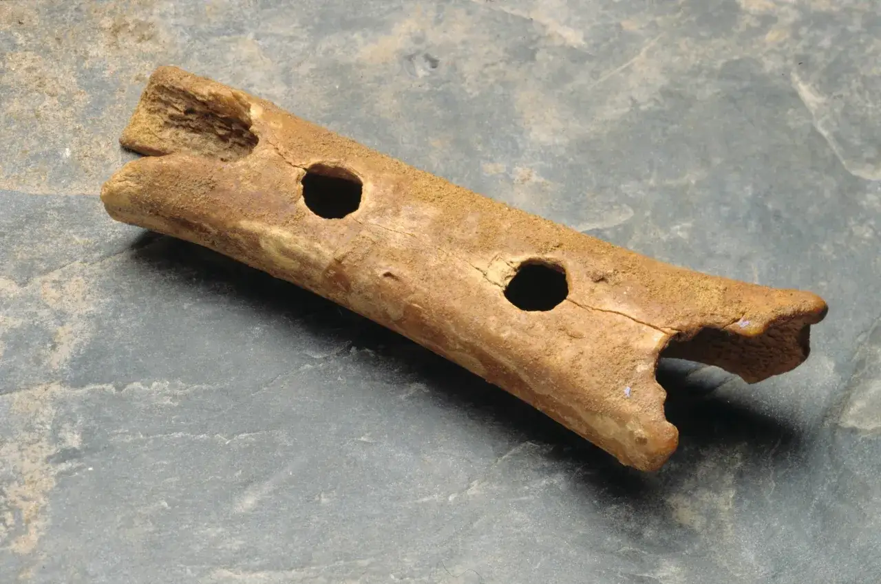 Starożytny flet z kości, jeden z najstarszych instrumentów muzycznych, z widocznymi otworami.