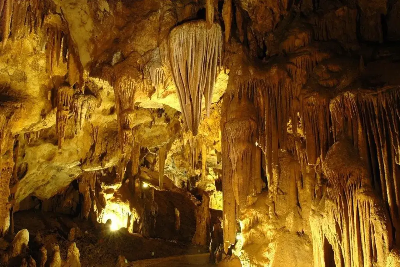 Stalattiti e stalagmiti dorate illuminano le **grotte di Pastena**, creando un paesaggio sotterraneo magico.