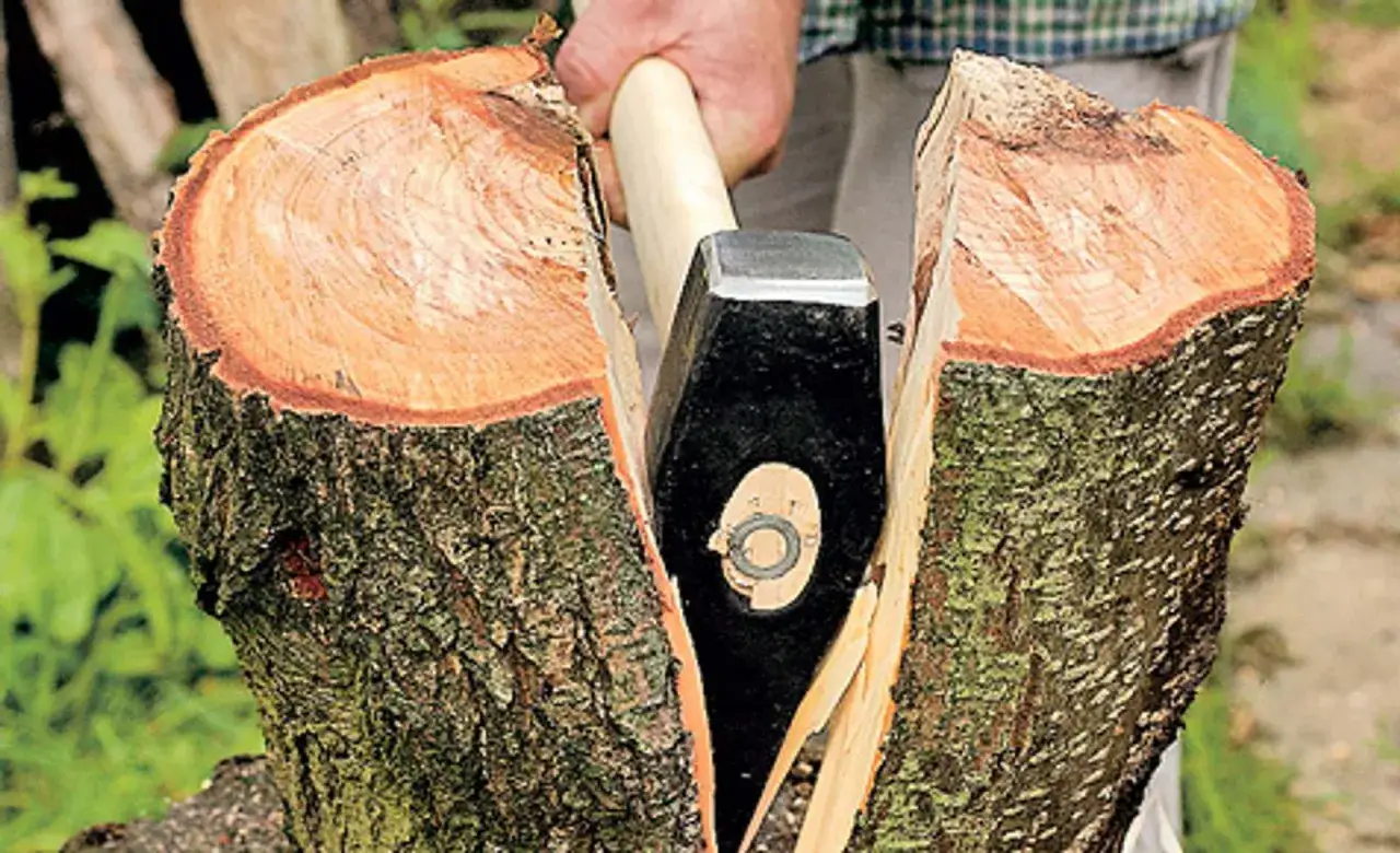 Mann spaltet mit einem Beil einen Baumstamm. Das Holz der Birke splittert.
