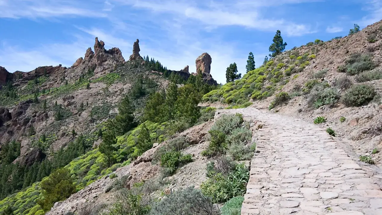 Steiniger Pfad führt bergauf durch karge Vegetation und Pinienwälder. Im Hintergrund ragen bizarre Felsformationen auf. Ein tolles Erlebnis beim Wandern auf Gran Canaria.