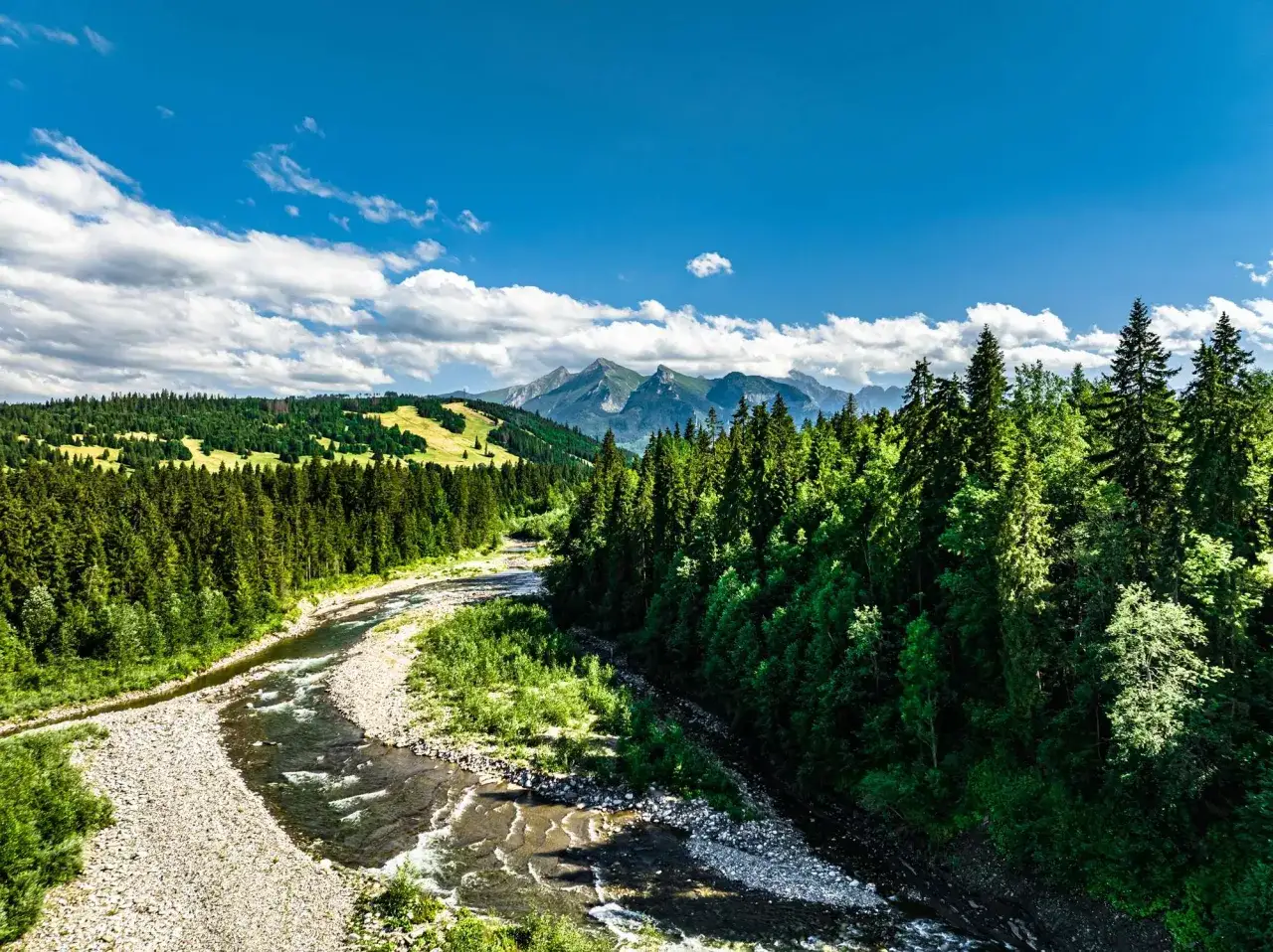 Malowniczy widok na Tatry z rzeką i lasem. Bukowina Tatrzańska oferuje takie atrakcje jak wędrówki po górach i podziwianie przyrody.