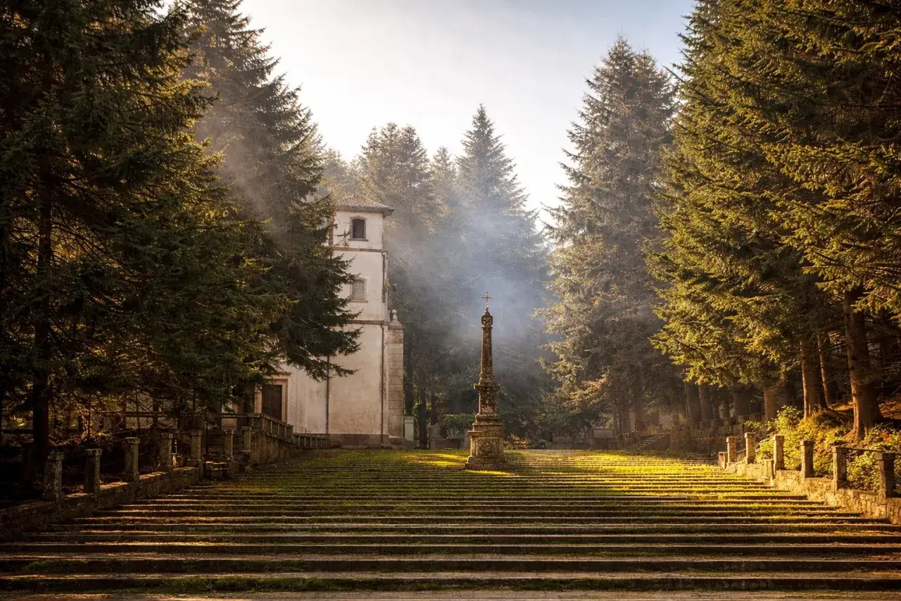 Serra San Bruno: scalinata maestosa, chiesa e obelisco tra pini secolari. Un luogo di pace e spiritualità da scoprire.