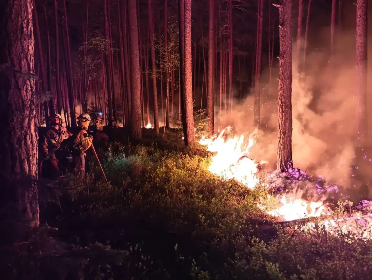 Strażacy walczą z pożarem lasu nocą. Jeden z nich trzyma miotłę pożarniczą, gotowy do gaszenia.