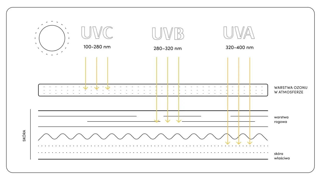 Promieniowanie UVA (320-400 nm) przenika przez warstwę ozonu i dociera do skóry właściwej, powodując jej uszkodzenia.