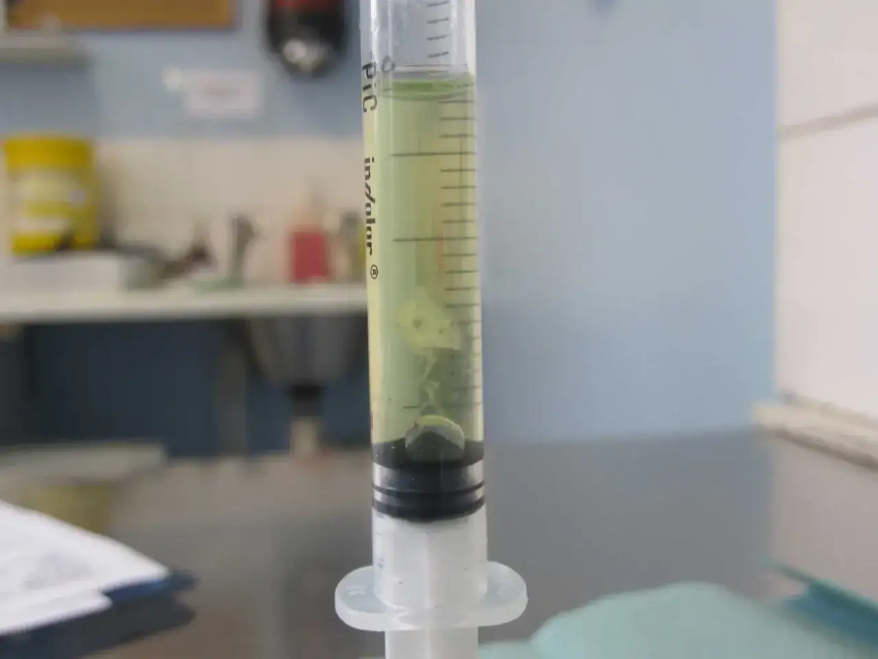 A syringe filled with yellow liquid, likely for fip treatment, shows a small dark bubble and cloudy particles.