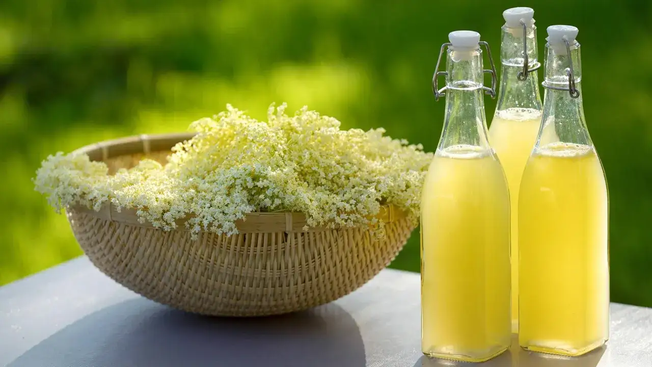 Frische Holunderblüten im Korb und drei Flaschen selbstgemachter Holunderblütensirup. Perfekt für den Sommer!