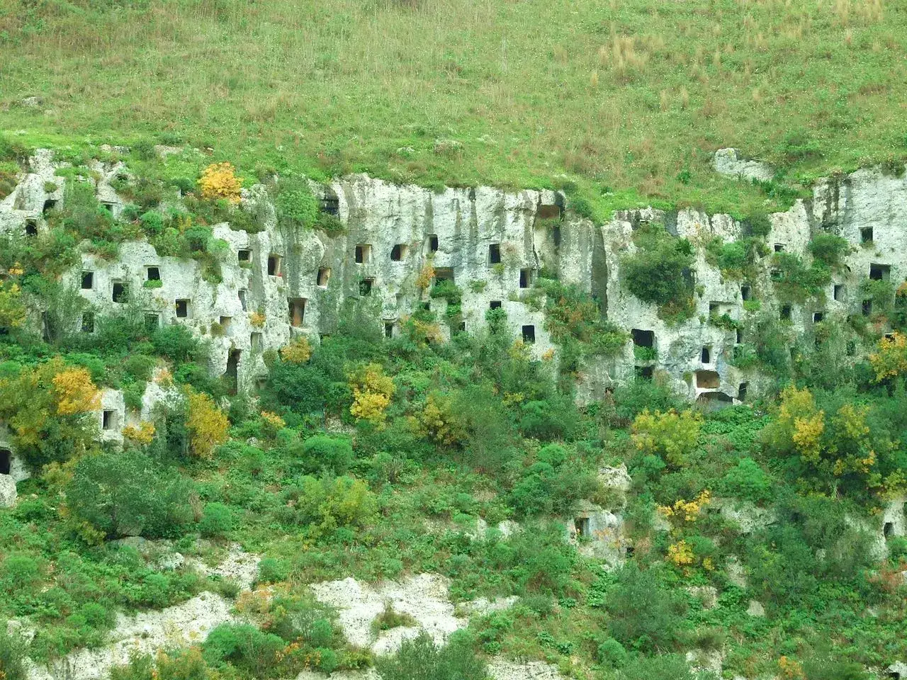 Antiche necropoli scavate nella roccia, un suggestivo paesaggio di Siracusa e dintorni, con vegetazione rigogliosa che si arrampica sulle pareti.