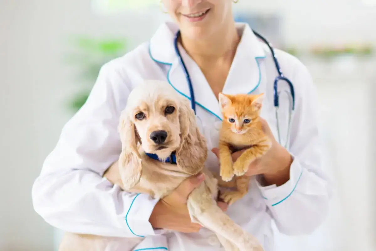 Weterynarz w Norwegii, praca, krajobraz