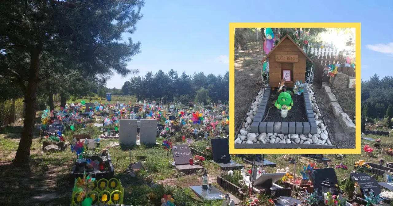 Nielegalny pochówek zwierzęcia w ogrodzie mandat
