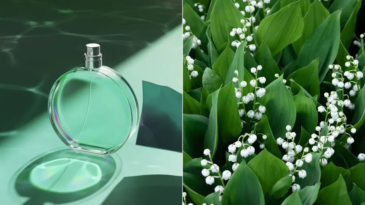 Zielona butelka perfum konwaliowych na tle wodnych refleks&oacute;w i bujnych, zielonych liści z białymi dzwoneczkami konwalii.