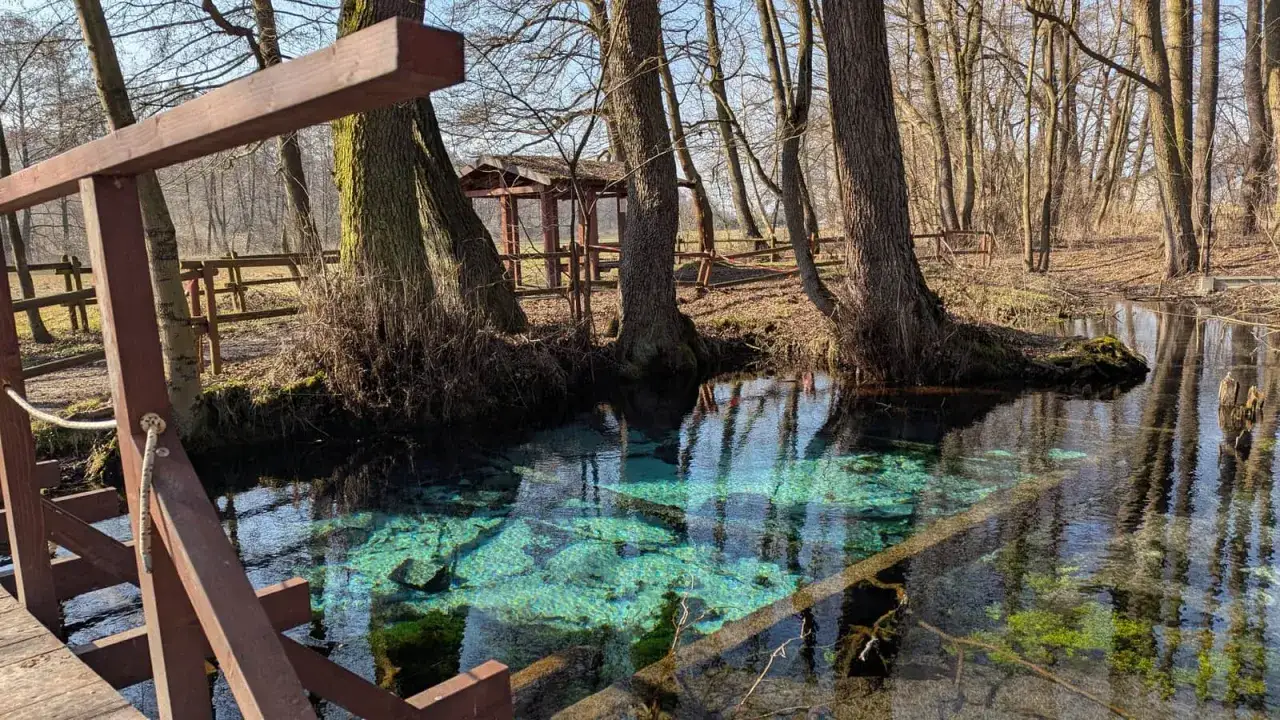 Krystalicznie czysta woda w **Dolinie Dłubni** przyciąga wzrok. Drewniany pomost prowadzi do tego uroczego zakątka.