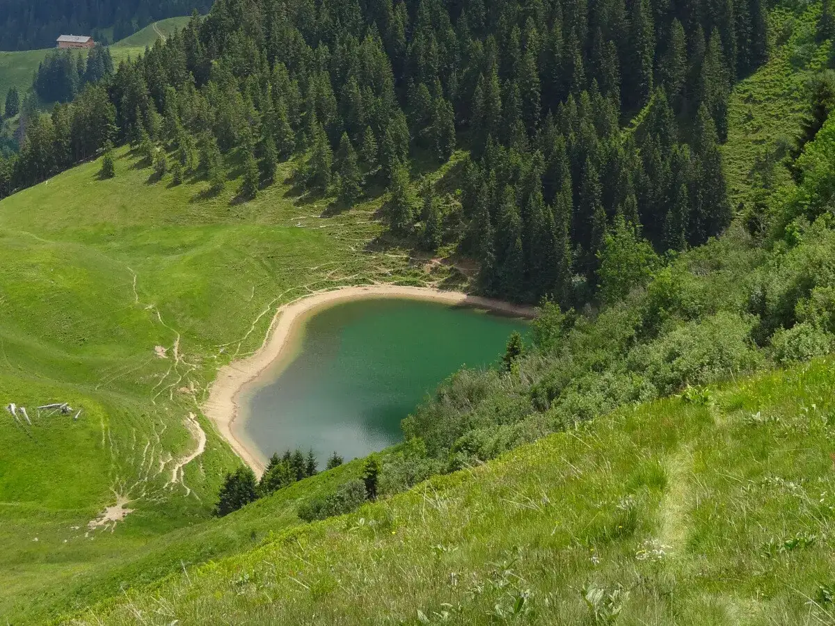 Grüner Bergsee in den bayerischen Alpen, umgeben von Nadelwald und saftigen Almwiesen. Ein idyllischer Ort zum Wandern.