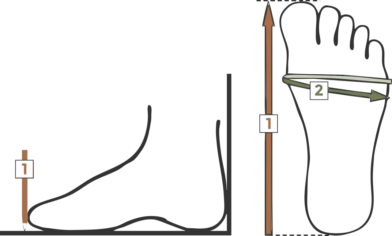 Illustration visar hur man m&auml;ter foten f&ouml;r att veta hur mycket utrymme i skor vuxen beh&ouml;vs. M&aring;tt 1 &auml;r l&auml;ngden, m&aring;tt 2 &auml;r bredden.