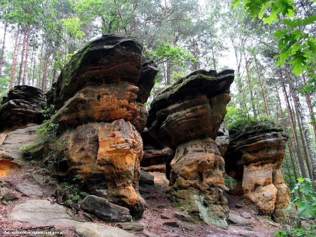 Skałki Piekło pod Niekłaniem, skalne formacje w lesie, porośnięte mchem, z wyrytymi napisami.
