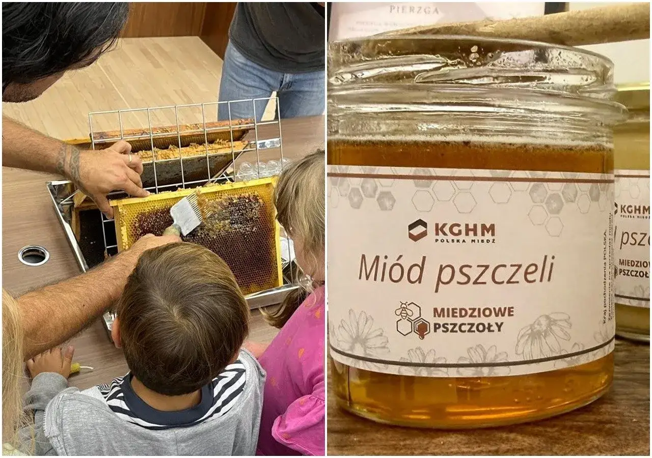 Wszystko o pszczołach i miodzie: dzieci uczą się o ramkach z miodem, a obok słoik miodu pszczelego z etykietą 
