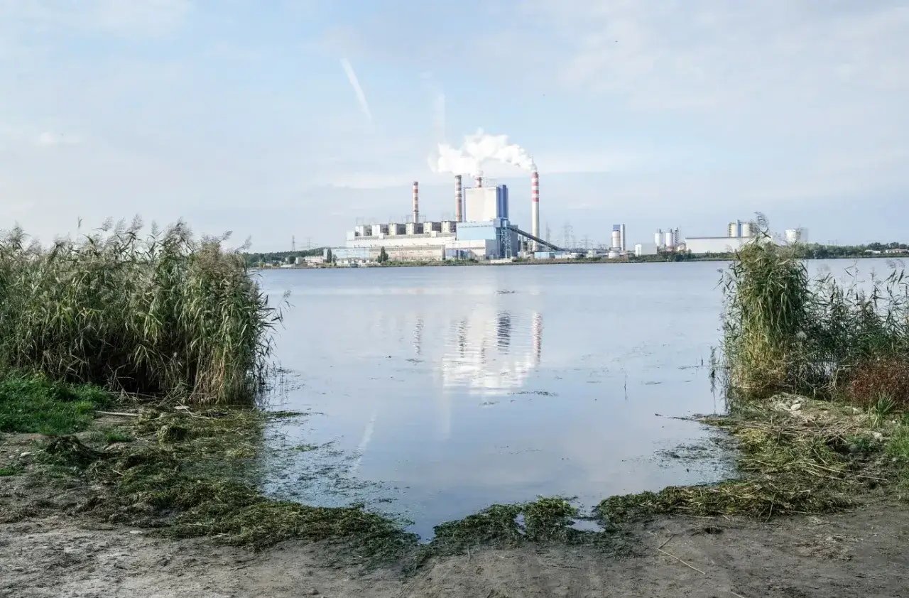 Woda i trzciny przed elektrownią. Trwa rekultywacja terenu po przemysłowej działalności.