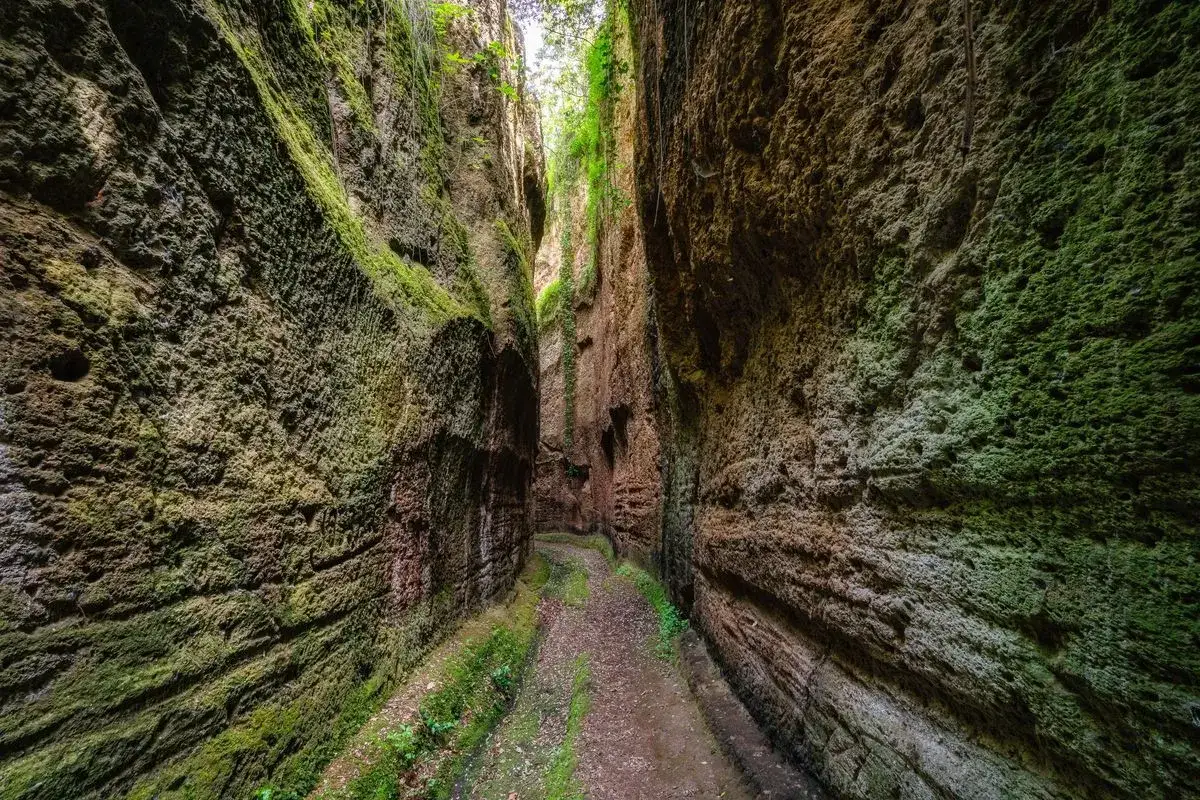 Sentiero tra le rupi corchiano, pareti rocciose ricoperte di muschio verde e vegetazione lussureggiante.