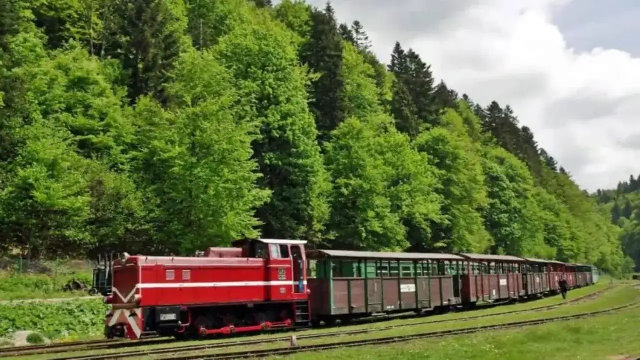 Czerwona lokomotywa z wagonami na torach, w tle zielony las. Majdan koło Cisnej tętni życiem.