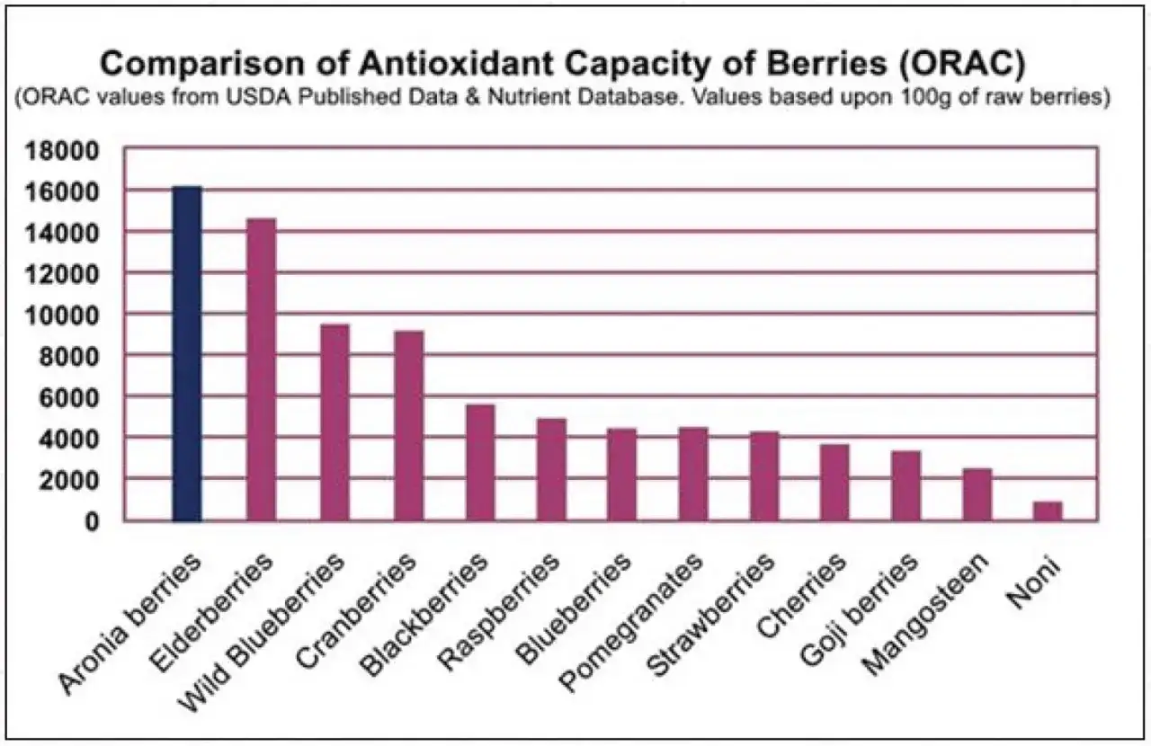 Balkendiagramm zeigt, dass Aronia-Beeren die h&ouml;chste antioxidative Kapazit&auml;t haben. Aronia-Kapseln sind eine gute Wahl f&uuml;r die Gesundheit.