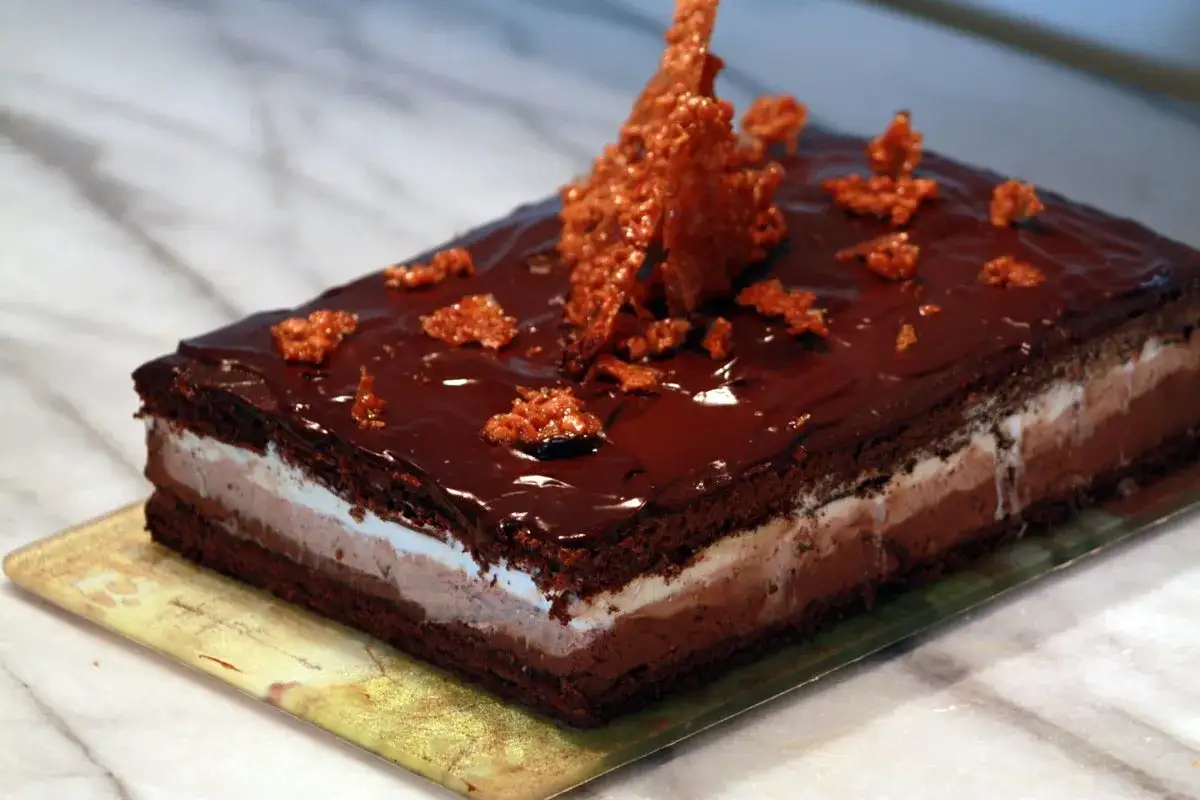 Un d&eacute;licieux cake au chocolat rectangulaire, glac&eacute; et d&eacute;cor&eacute; de tuiles croustillantes.