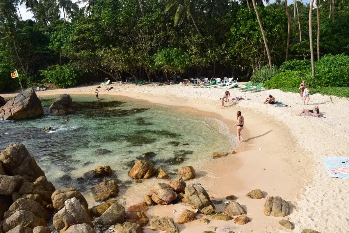 Słoneczna plaża w Mirissa, Sri Lanka, z turystami kąpiącymi się w turkusowej wodzie i odpoczywającymi na piasku wśród palm.