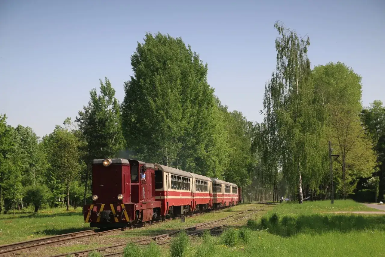 Czerwony pociąg z wagonami mija zielony las. Idealne piaseczno atrakcje na weekend dla miłośników kolei i natury.