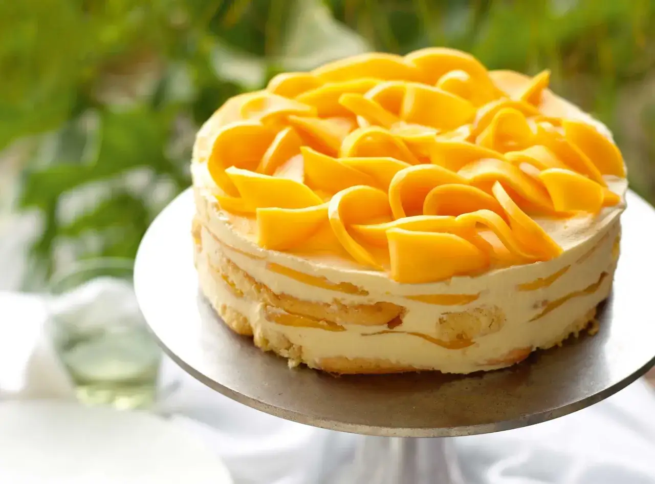 Ein köstliches Mango Tiramisu, geschichtet mit Biskuit und cremiger Mascarpone, gekrönt mit frischen Mangoscheiben.