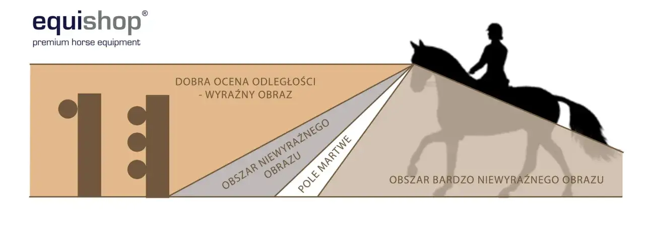 Ilustracja pokazuje sylwetkę jeźdźca na koniu, z zaznaczonymi obszarami ostrości widzenia. Nawet w oddali, oczy konia są kluczowe.