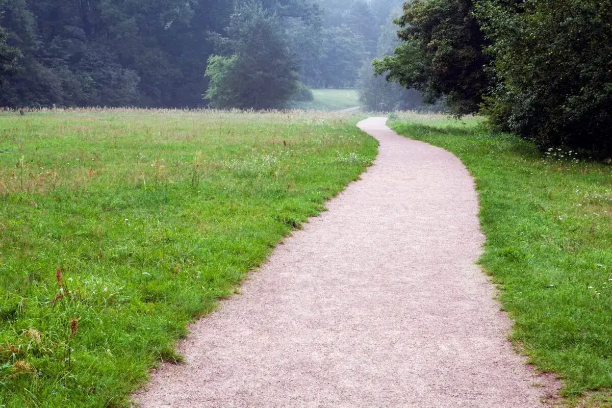 Ein geschwungener Kiesweg führt durch eine grüne Wiese in einen nebligen Wald. Perfekt für deine Jogging-Tipps!