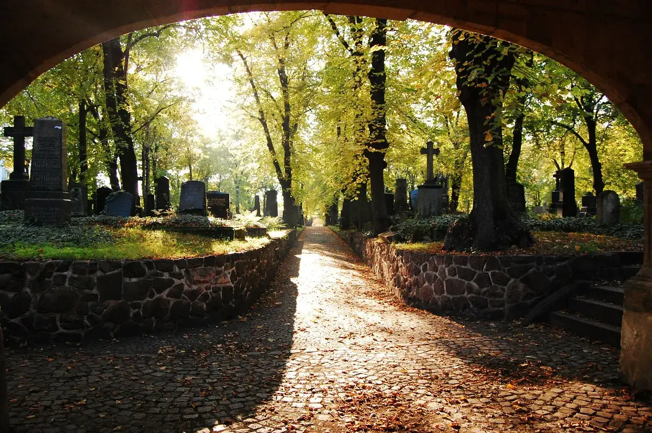 Aleja na cmentarzu, jesienne liście, nagrobki. Czy można sprzedać miejsce na cmentarzu? Słońce przebija się przez drzewa.