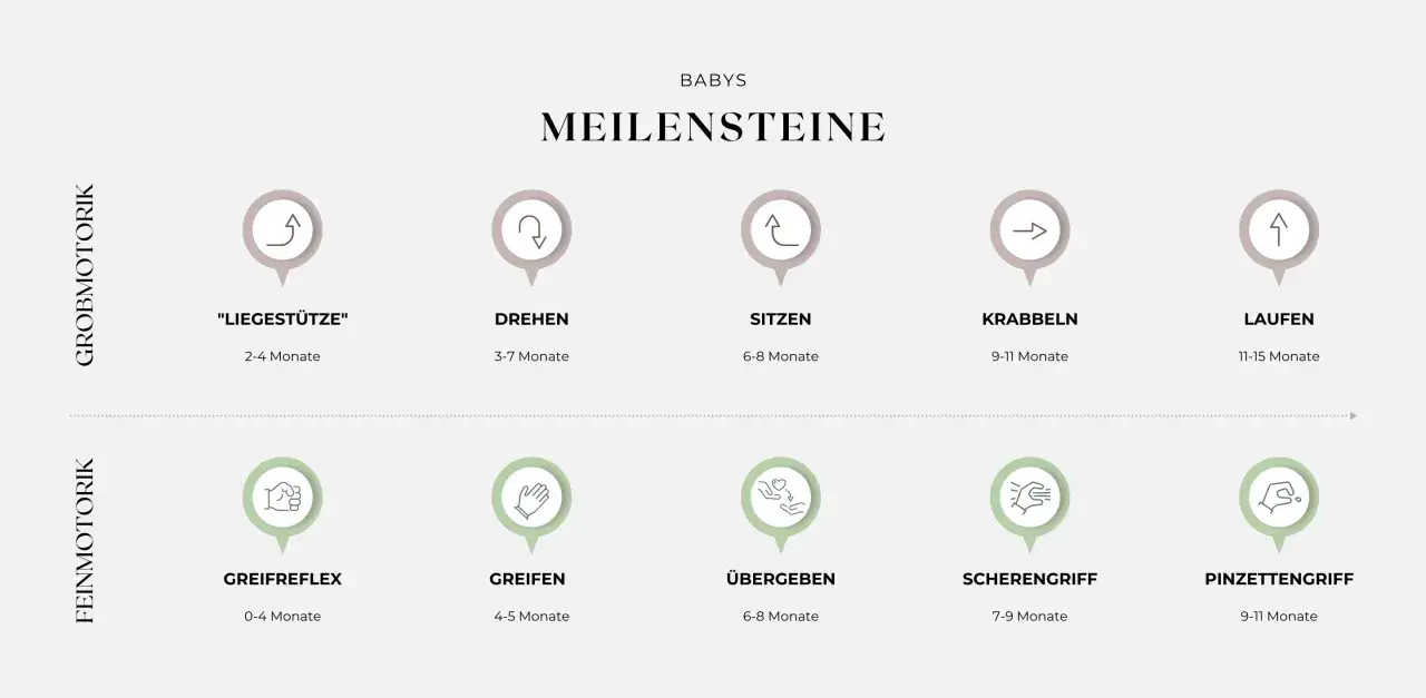 Meilensteine der Entwicklung des Kindes im 1. Lebensjahr: Grob- und Feinmotorik von Liegestütze bis Laufen, Greifen und Pinzettengriff.