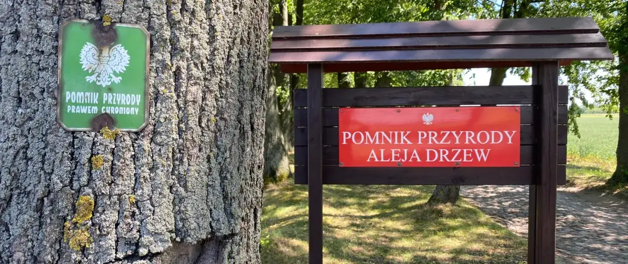 Tabliczka informuje o pomniku przyrody 