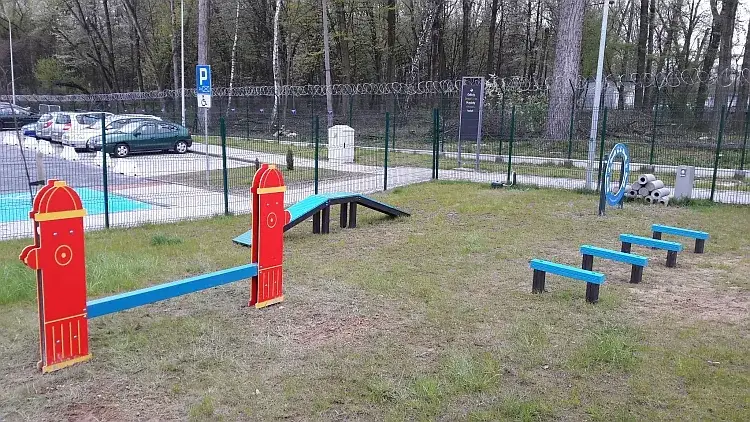 Psi wybieg Krak&oacute;w agility