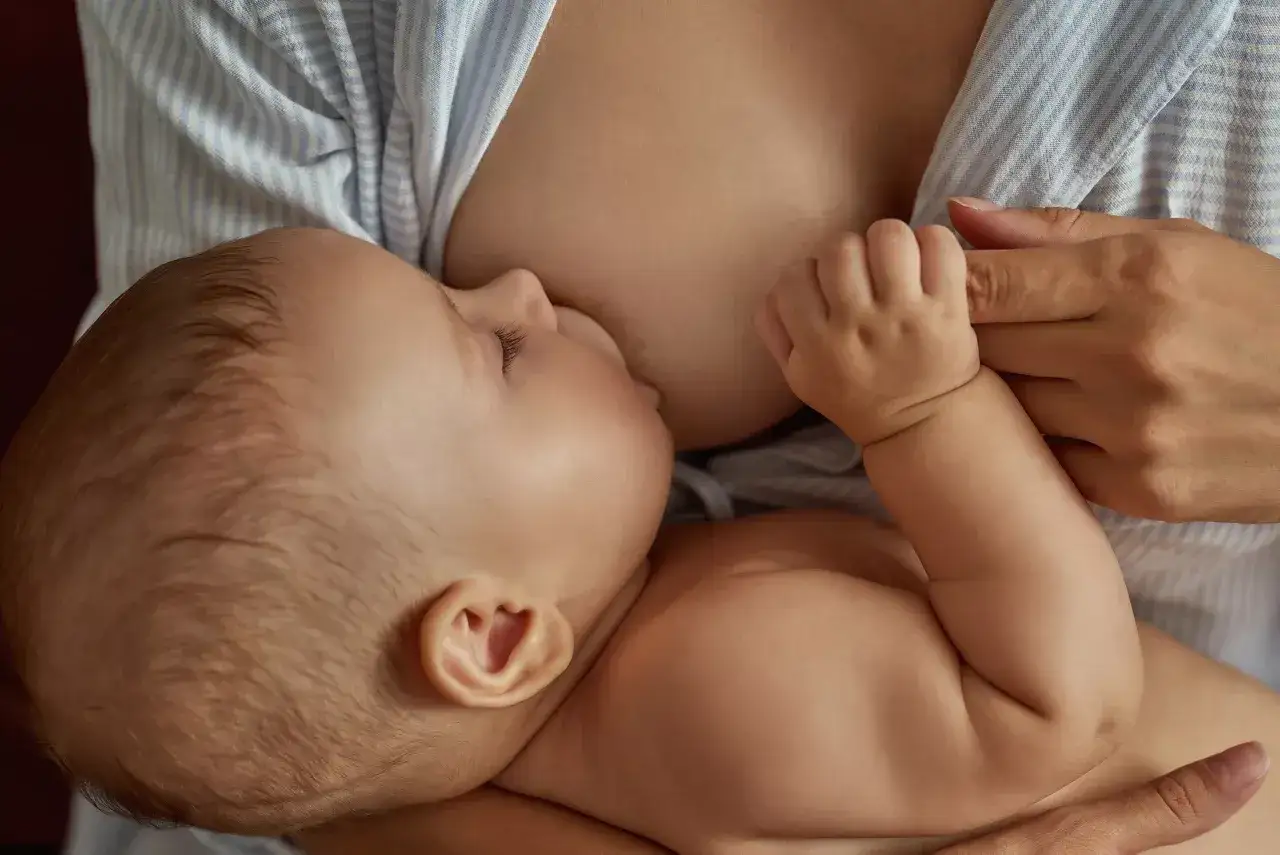Ein Baby trinkt an der Brust. Die Mutter h&auml;lt es liebevoll. Informationen zum Thema **abstillen wie** sind hier nicht ersichtlich.