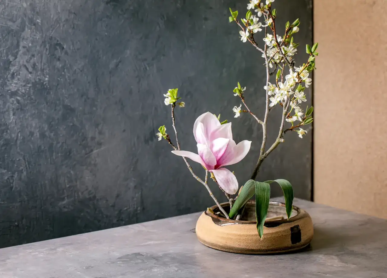 Delikatna ikebana: różowa magnolia i białe kwiaty na gałązkach w ceramicznej misie.