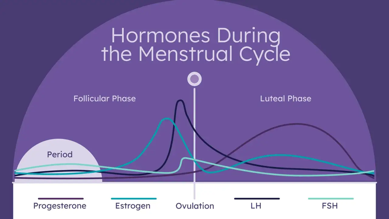 Gr&aacute;fico de hormonas durante el ciclo menstrual. Muestra c&oacute;mo cuanto puede retrasarse la regla, influenciado por estr&oacute;geno, progesterona, LH y FSH.