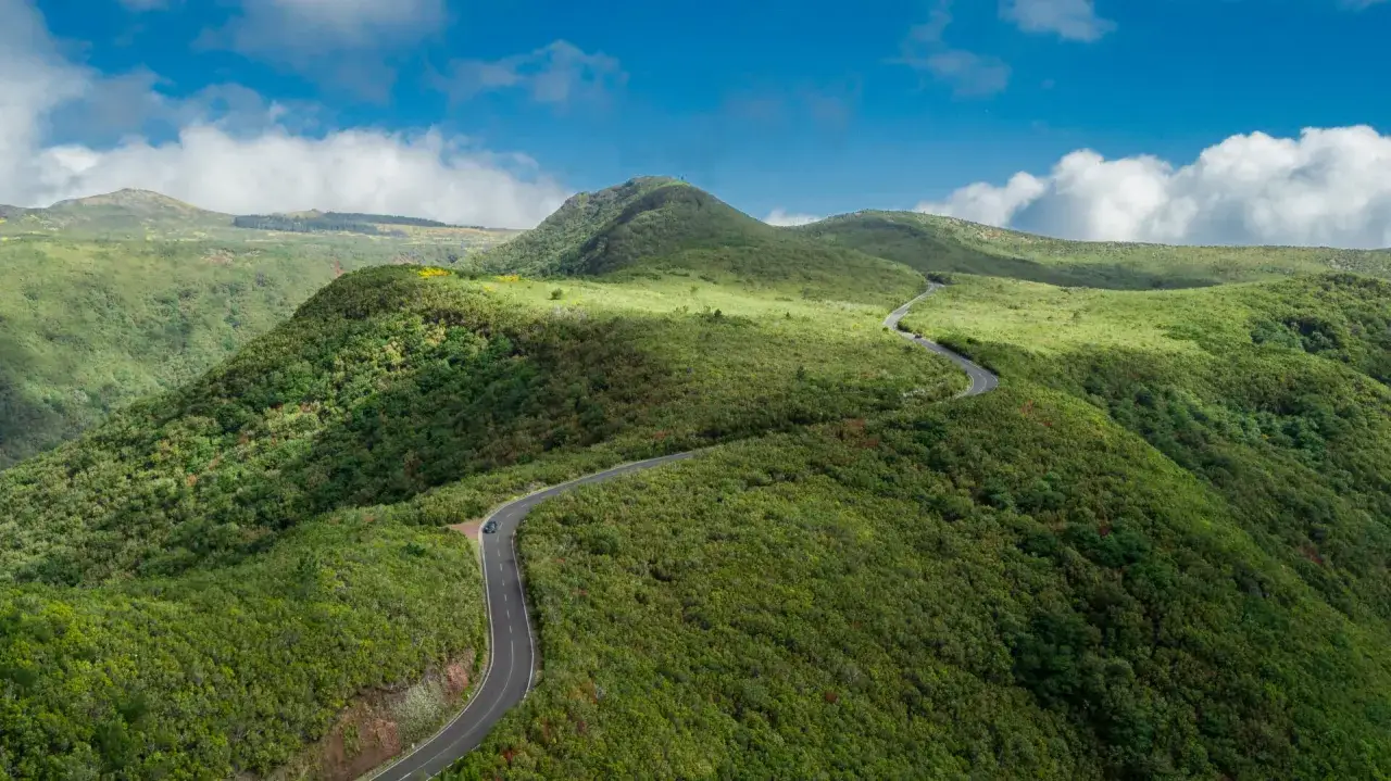 Eine kurvige Straße schlängelt sich durch grüne Hügel auf Madeira. Ein Auto fährt auf dieser malerischen Route, die zum Erkunden einlädt.