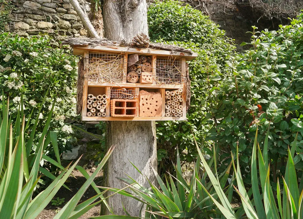 Ein Insektenhotel mit verschiedenen Nistmaterialien, befestigt an einem Baum. Der Standort ist von &uuml;ppiger Vegetation umgeben.