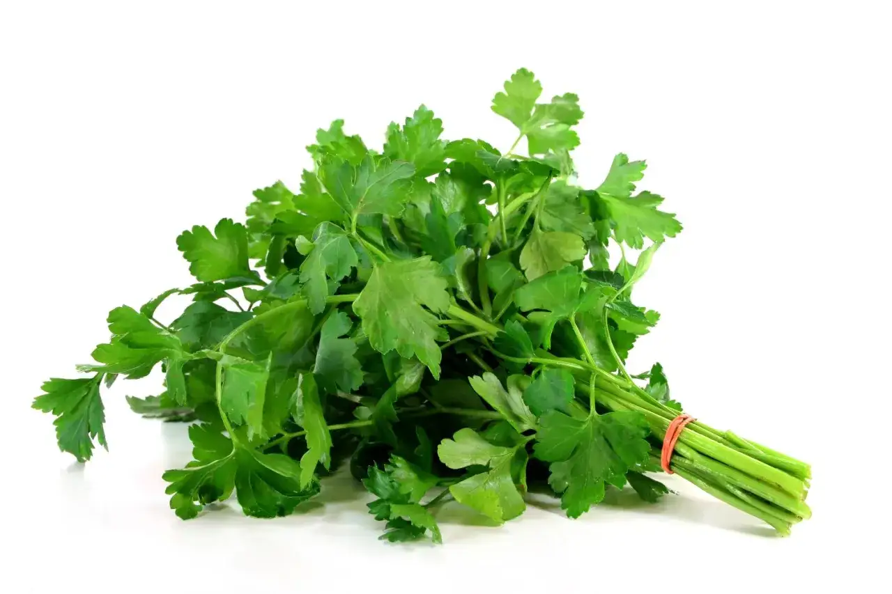 Pęczek świeżej natki pietruszki, związany czerwoną gumką, gotowy do dodania aromatu do potraw.