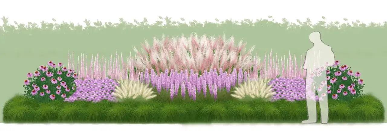 En perennrabatt med rosa solhattar, lila blommor och gräs ger inspiration för en vacker trädgård.