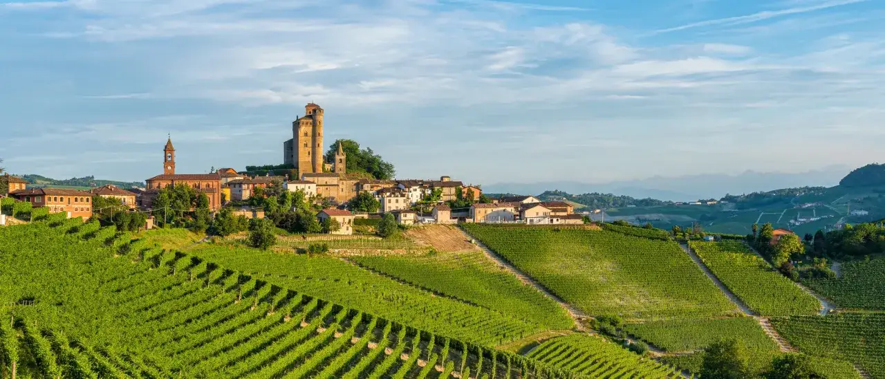Sonnenbeschienene Weinberge erstrecken sich über Hügel in Molise, Italien, mit einem Dorf, das auf einem Hügel thront.