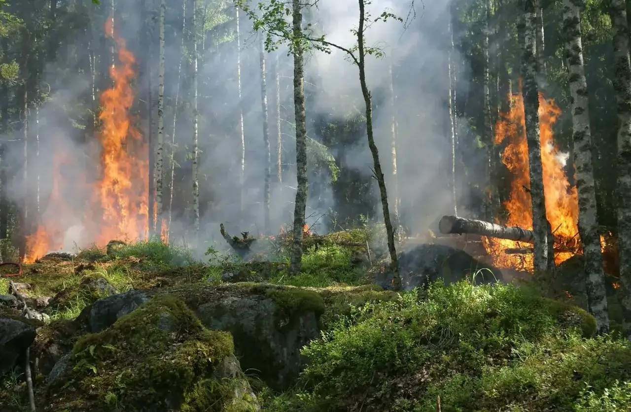 skutki zmian klimatu w polsce, susza pow&oacute;dź polska