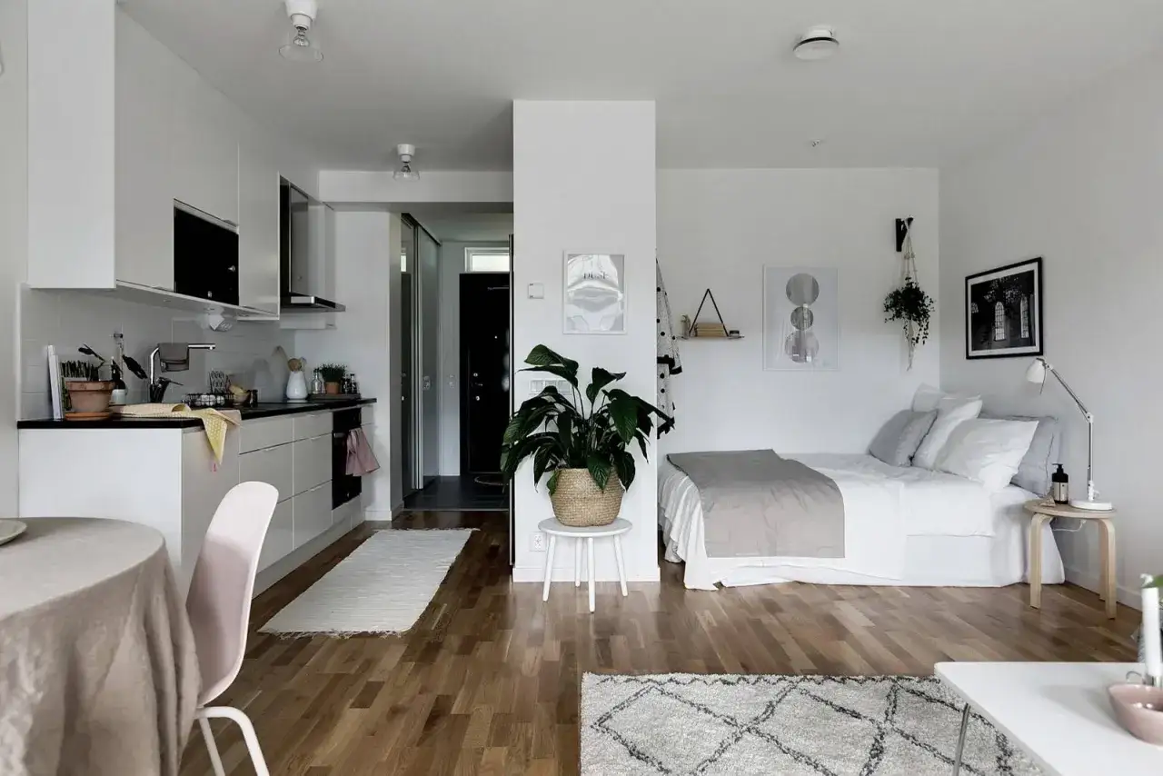 Gemütliche Schlafnische im Wohnzimmer, integriert in eine moderne Küchenzeile. Ein großer grüner Ficus sorgt für Wohlfühlatmosphäre.